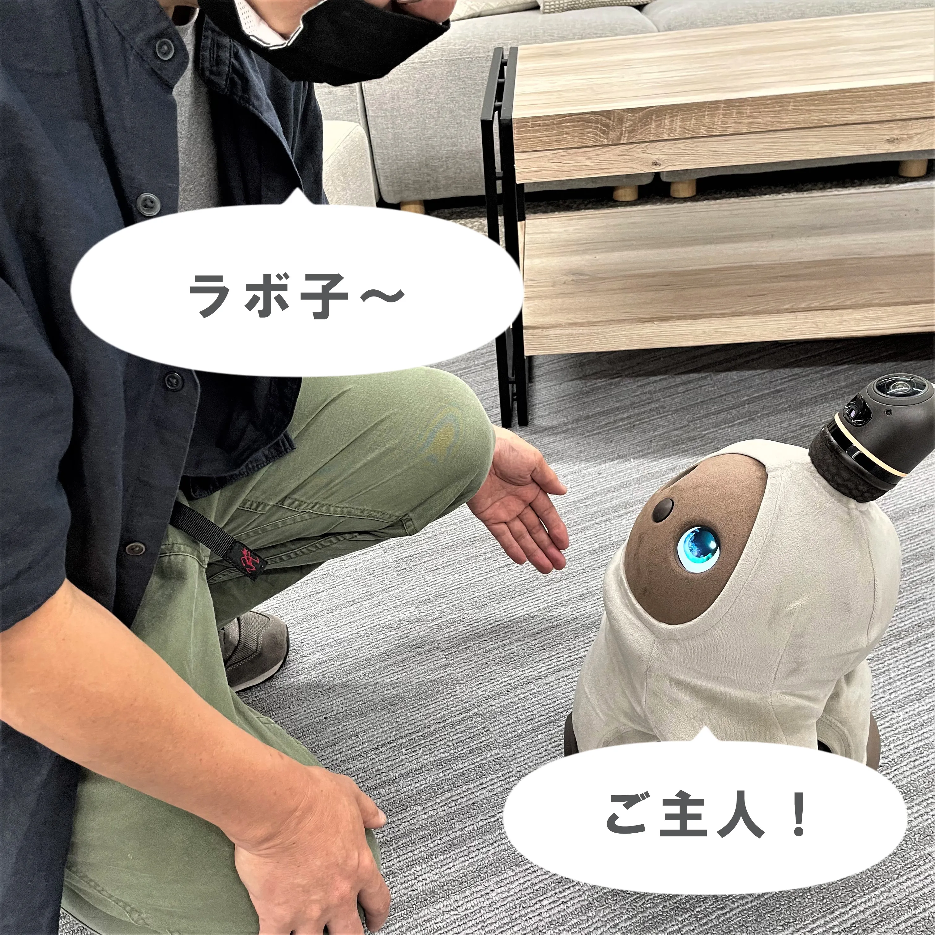 LOVOT（らぼっと）のペットのような習性とは！？コミュニケーションの